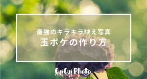スマホでもできる玉ボケの作り方!最強のキラキラ映え写真が完成♪