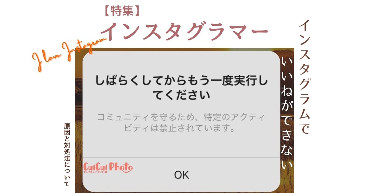 インスタグラムでいいねできない 原因と対処について 撮影 写真メディア Cuicuiphoto