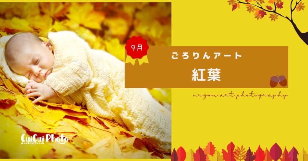 【ごろりんアート/9月】秋を紅葉とどんぐりで表現してみよう